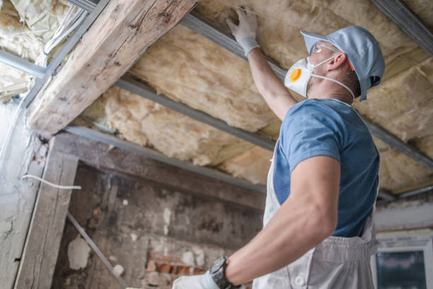 Best Types of Insulation in Winchester, IL